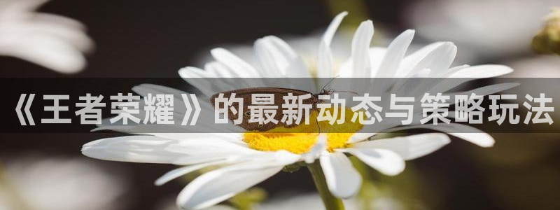 优贝娱乐Ii：《王者荣耀》的最新动态与策略玩法