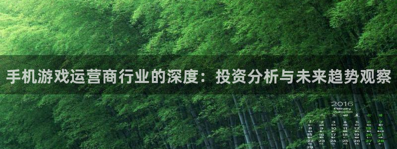 优贝娱乐2首页登录：手机游戏运营商行业的深度：投资分析与未来