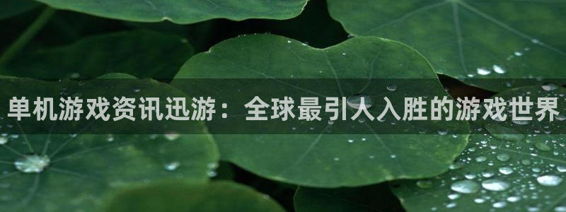 优贝娱乐登录网址：单机游戏资讯迅游：全球最引人入胜的游戏世界