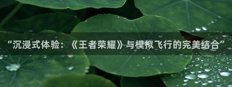 沐春优贝娱乐：“沉浸式体验：《王者荣耀》与模拟飞行的完美结合