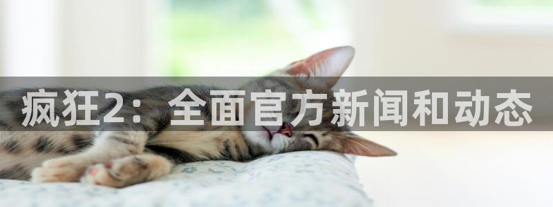 优贝娱乐登录：疯狂2：全面官方新闻和动态