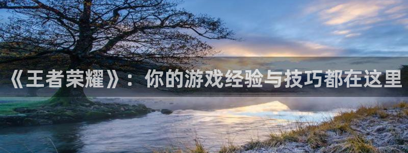 优贝娱乐注册网站:《王者荣耀》:你的游戏经验与技巧都在这里