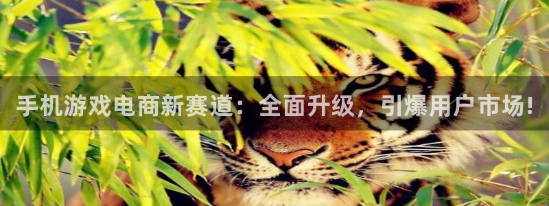 优贝娱乐游戏：手机游戏电商新赛道：全面升级，引爆用户市场!