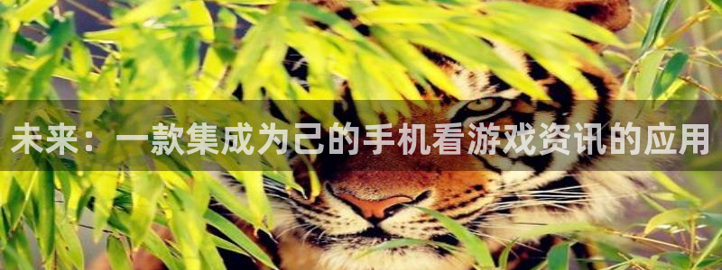 优贝娱乐下载：未来：一款集成为己的手机看游戏资讯的应用