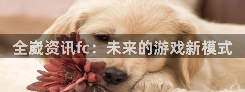 优贝娱乐游戏：全崴资讯fc：未来的游戏新模式