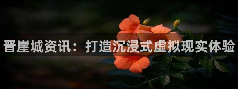 优贝娱乐注册登录：晋崖城资讯：打造沉浸式虚拟现实体验