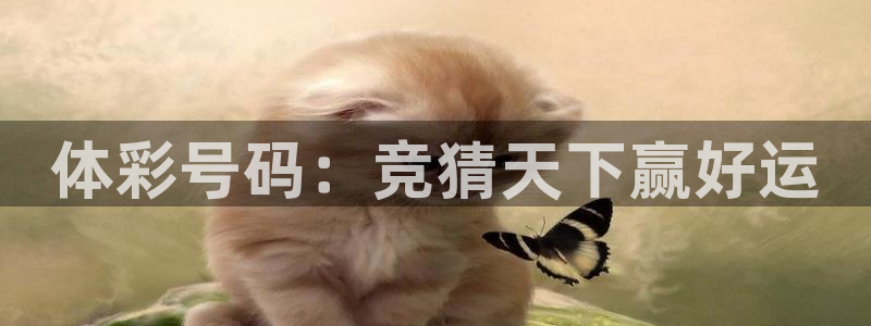 新球体育网球比分：体彩号码：竞猜天下赢好运