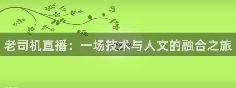 新球体育网球比分：老司机直播：一场技术与人文的融合之旅