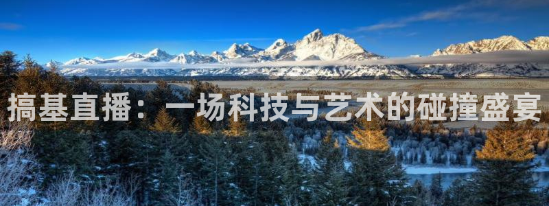 新球足球：搞基直播：一场科技与艺术的碰撞盛宴