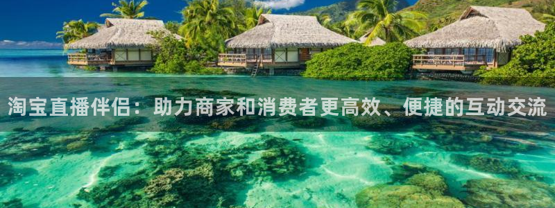 新球赛直播：淘宝直播伴侣：助力商家和消费者更高效、便捷的互动交流