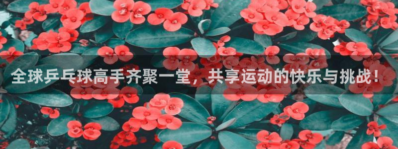 新球体育篮球比分：全球乒乓球高手齐聚一堂，共享运动的快乐与挑战！