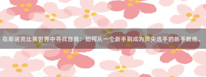 新球体育直播：在斯诺克比赛世界中寻找自我：如何从一个新手到成为顶尖选手的新手教练。