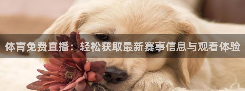 新球足球直播：体育免费直播：轻松获取最新赛事信息与观看体验