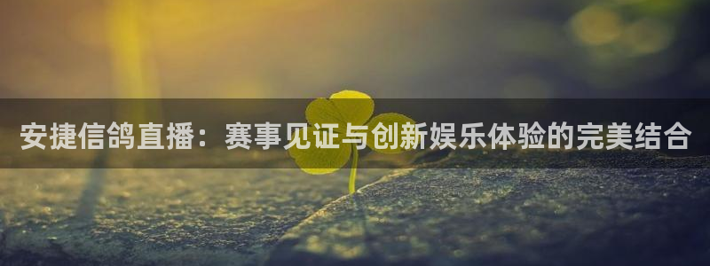 新球体育篮球比分：安捷信鸽直播：赛事见证与创新娱乐体验的完美结合