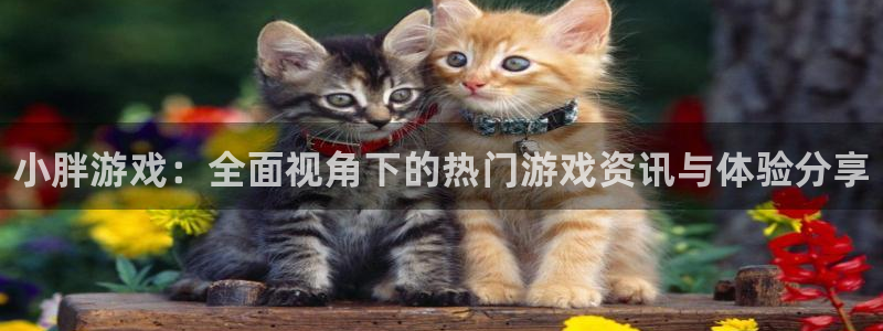 优贝娱乐网页登录入口：小胖游戏：全面视角下的热门游戏资讯与体