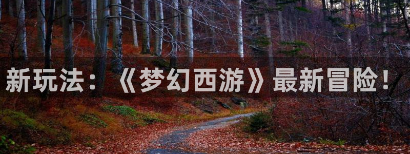 优贝娱乐注册：新玩法：《梦幻西游》最新冒险！