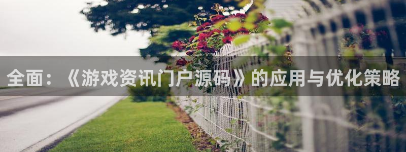 优贝娱乐测速：全面：《游戏资讯门户源码》的应用与优化策略