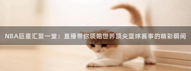 新球足球直播：NBA巨星汇聚一堂：直播带你领略世界顶尖篮球赛事的精彩瞬间