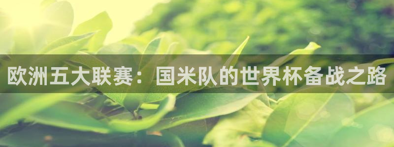 新球体育直播：欧洲五大联赛：国米队的世界杯备战之路