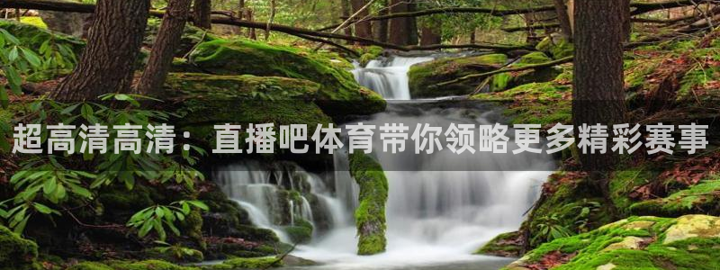 新球体育直播：超高清高清：直播吧体育带你领略更多精彩赛事