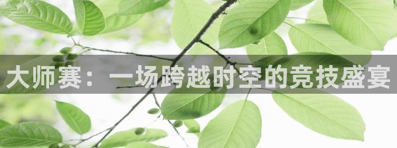 新球体育赛事：大师赛：一场跨越时空的竞技盛宴