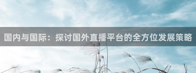 新球体育足球官网：国内与国际：探讨国外直播平台的全方位发展策略