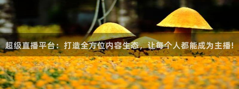 新球体育足球比分：超级直播平台：打造全方位内容生态，让每个人都能成为主播!